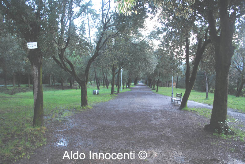 GALCETI: PARCO 1' IMMAGINE